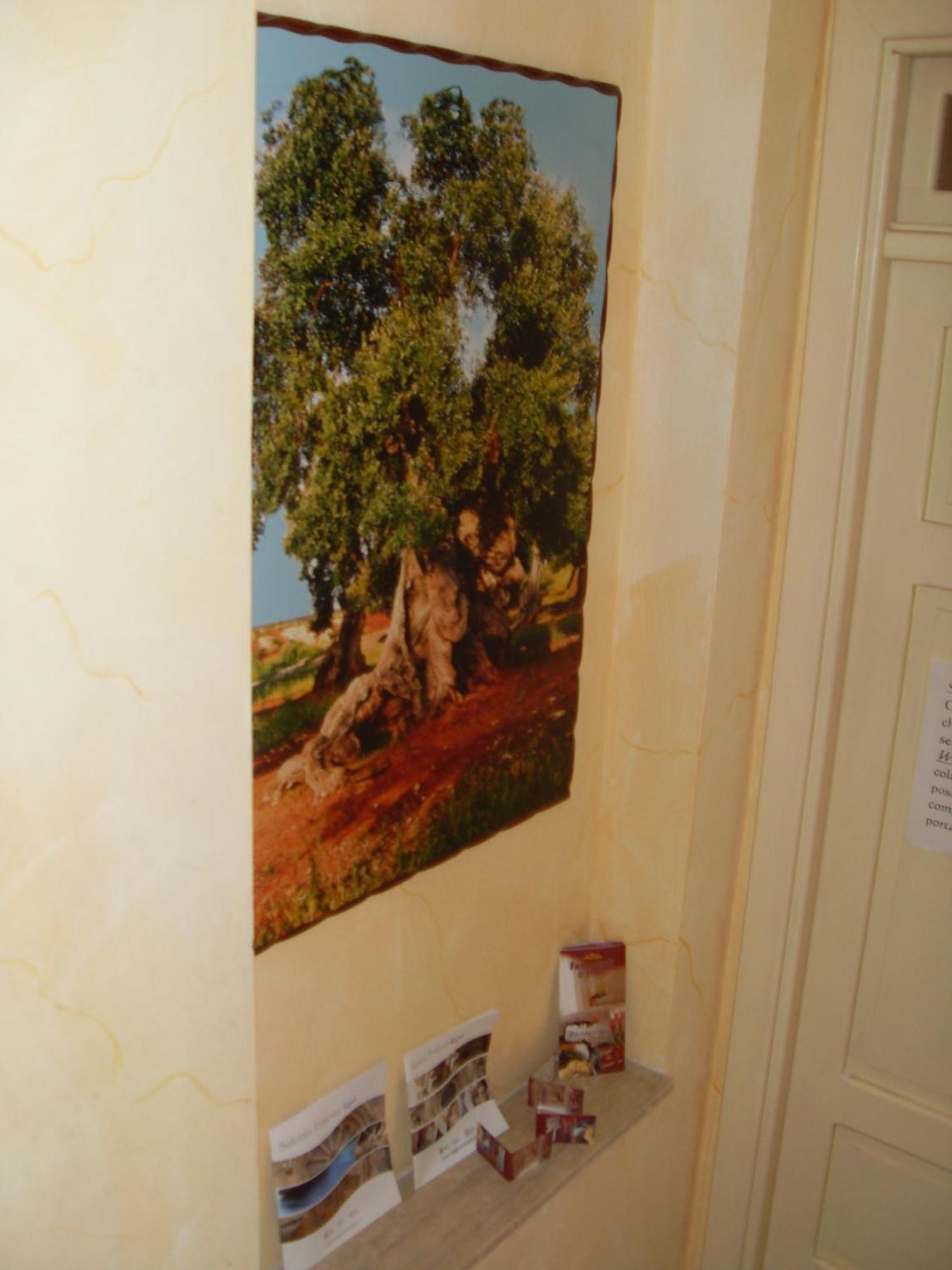 B&B Frammenti D'Itria Ceglie Messapica Exteriör bild